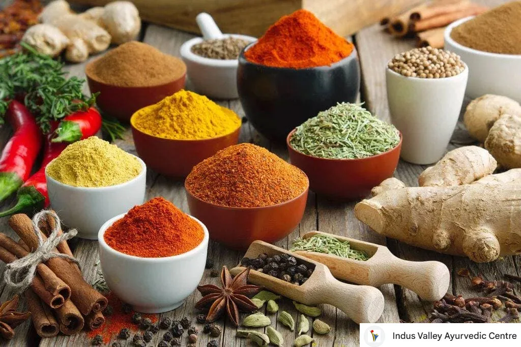 Ayurveda Medicine as Alternative Medicine